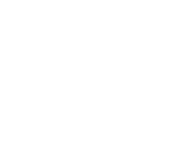 Evolution games at Coiny Win Casino